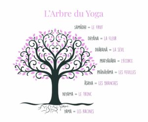arbre du yoga selon les yoga sûtra de Patanjali issu de https://centre-anandayoga.fr/philosophie/