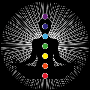 Lire la suite à propos de l’article En quoi les chakras sont-ils de bons supports de méditation ?